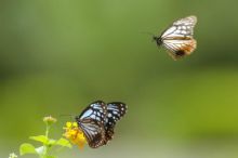 �ʵ�����