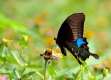 �ʵ�����