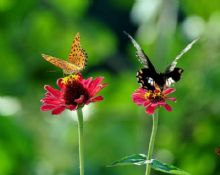 �ʵ�����