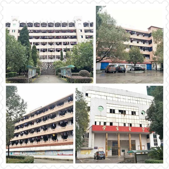 ˵��: https://mmbiz.qpic.cn/mmbiz_jpg/ibgib3xCqNWcvkOaQnVSmhOSbbFNiaicRBkH47G0AWH57QdpXY1Vhib399UFiapalMp2xHZY0kVmqAgGlKcFg4ibLk9sw/640?wx_fmt=jpeg