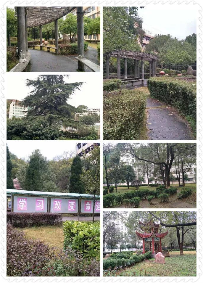 ˵��: https://mmbiz.qpic.cn/mmbiz_jpg/ibgib3xCqNWcvkOaQnVSmhOSbbFNiaicRBkHLBgyGje4VqTCdYibsKibx5USpNwaOmYnicFkmChCGGpia09T2bVbDf4HDg/640?wx_fmt=jpeg